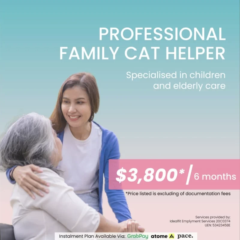 Cat Helper - The professional helper you will ever need